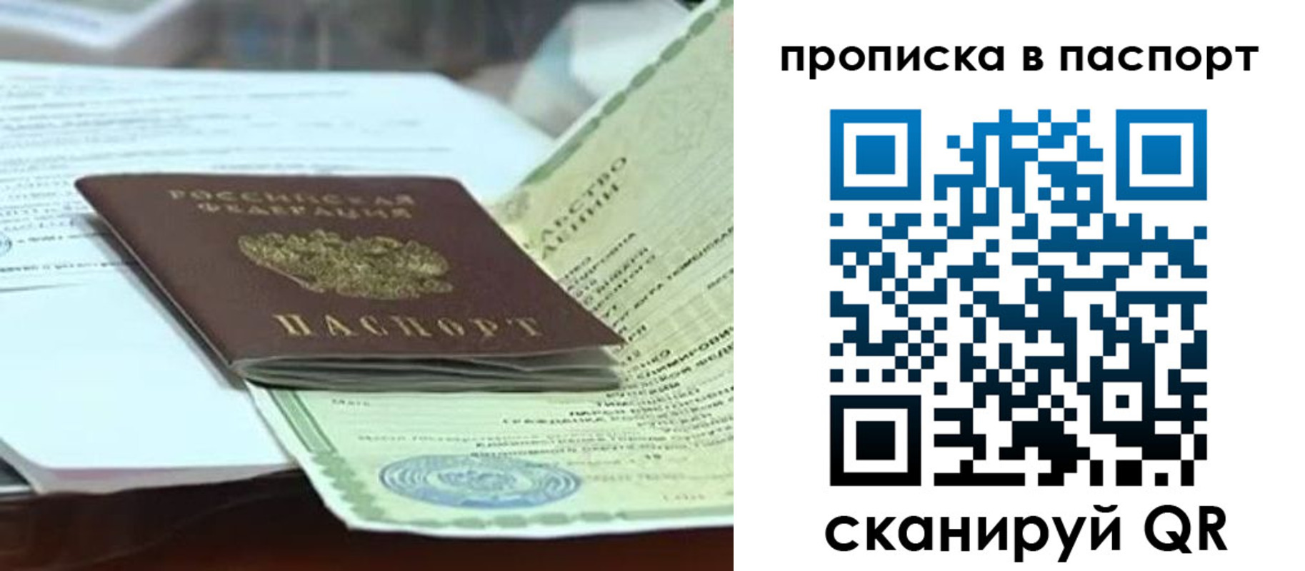 купить прописку в Владимирской области